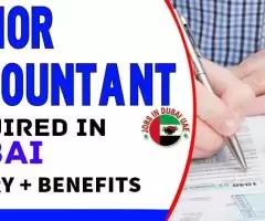 Senior Accountant Required in Dubai