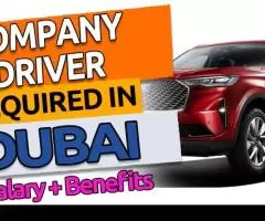 Company Driver Required in Dubai