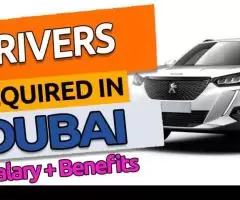 Drivers Required in Dubai