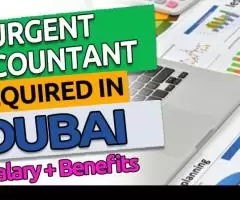 Urgent Accountant Required in Dubai