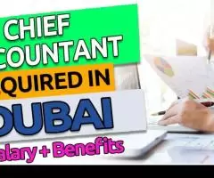 Chief Accountant Required in Dubai