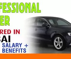 Professional Driver Required in Dubai