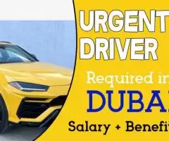 Urgently Driver Required in Dubai