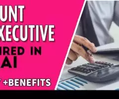 Account Executive Required in Dubai