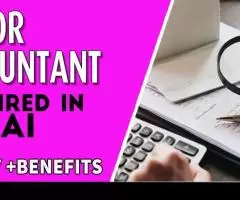 Senior Accountant Required in Dubai