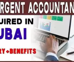 Urgent Accountant Required in Dubai