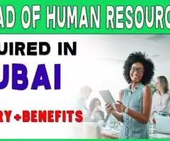 Head of Human Resources Required in Dubai