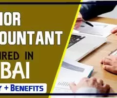 Senior Accountant Required in Dubai