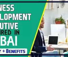 Business Development Executive Required in Dubai