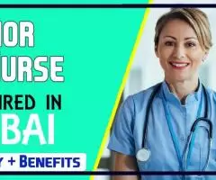 Senior Nurse Required in Dubai