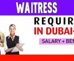 Waitress Required in Dubai