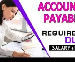 Accounts Payable Required in Dubai