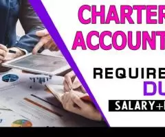 Chartered Accountant Required in Dubai