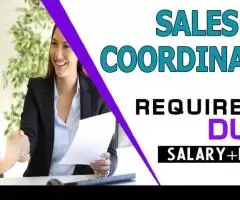 Sales Coordinator Required in Dubai