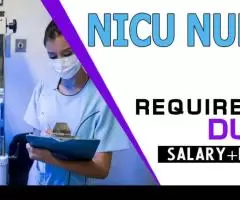 NICU Nurse Required in Dubai