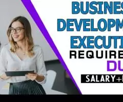 Business Development Executive Required in Dubai