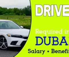 Driver Required in Dubai