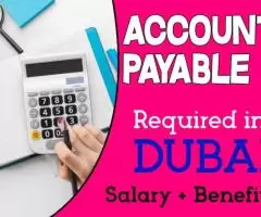 Accounts Payable Required in Dubai