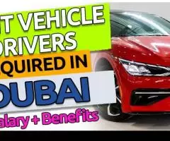 Light vehicle Drivers Required in Dubai