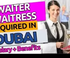 Waiter / Waitress Required in Dubai