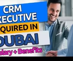 CRM Executive Required in Dubai