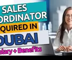 Sales coordinator Required in Dubai