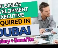 Business Development Executive Required in Dubai