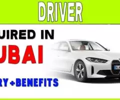 Driver Required in Dubai