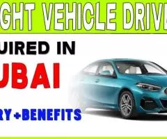 Light vehicle driver Required in Dubai