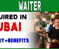 Waiter Required in Dubai