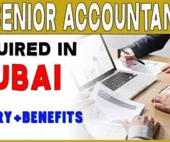 Senior Accountant Required in Dubai