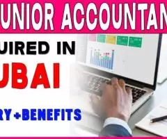 Junior Accountant Required in Dubai