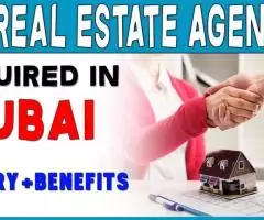 Real Estate Agent Required in Dubai