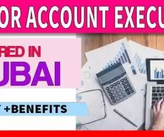 Junior Account Executive Required in Dubai