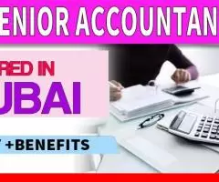 Senior Accountant Required in Dubai