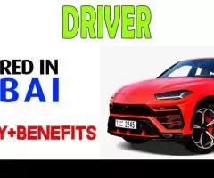 Driver Required in Dubai