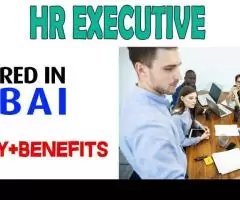 Human Resources Executive Required in Dubai