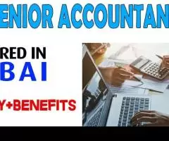 Senior Accountant Required in Dubai