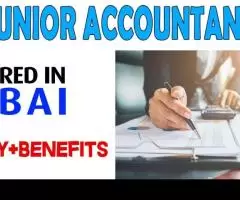 Junior Accountant Required in Dubai