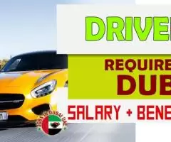 Driver Required in Dubai