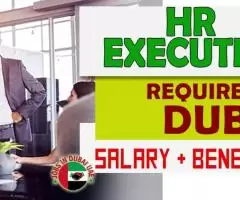 Human Resource Executive Required in Dubai