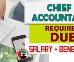 Chief Accountant Required in Dubai