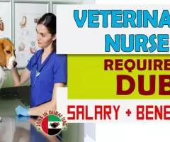 Veterinary Nurse Required in Dubai