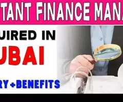 Assistant Finance Manager Required in Dubai