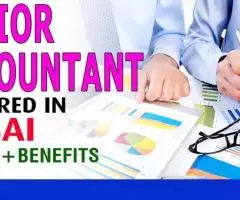 Senior Accountant Required in Dubai