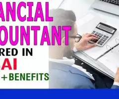 Financial Accountant Required in Dubai