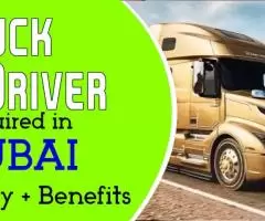 Truck Driver Required in Dubai