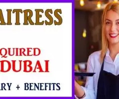 Waitress Required in Dubai