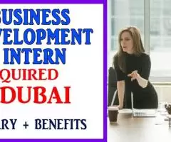 Business Development Intern Required in Dubai