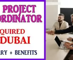 Information Technology Project Coordinator Required in Dubai